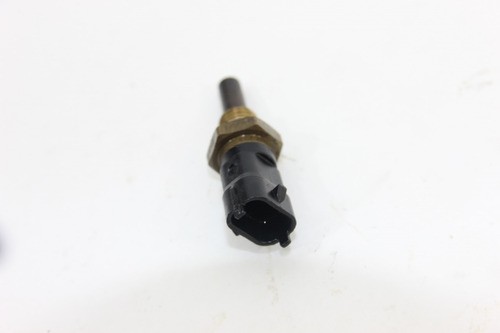 Sensor Temperatura S10 06/11 (646)