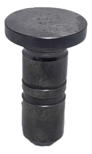 Tucho Do Motor Mwm X10 X12 (unidade)