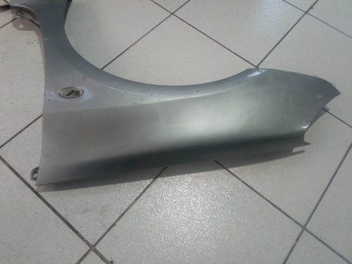 Paralama Esquerdo Peugeot 307 2002 2003 2004 2005 2006