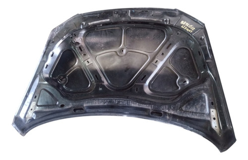 Capô Dianteiro Preto Vw Passat Var 2.0 Fsi 2006 2007