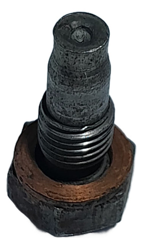 Parafuso Trava Guia Tucho Oleo Motor Maxion 2.5