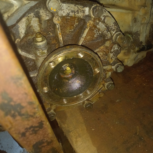 Par De Tulipa Vw Gol Saveiro Ap
