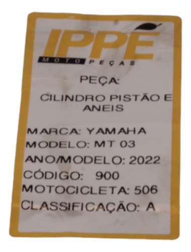 Cilindro Pistão E Anéis Yamaha Mt03 2022 (506)