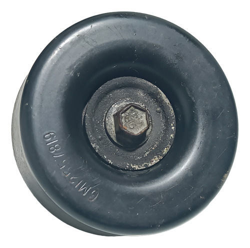 Polia Esticador Correia Alternador S10 Mwm 2.8 2001 2011