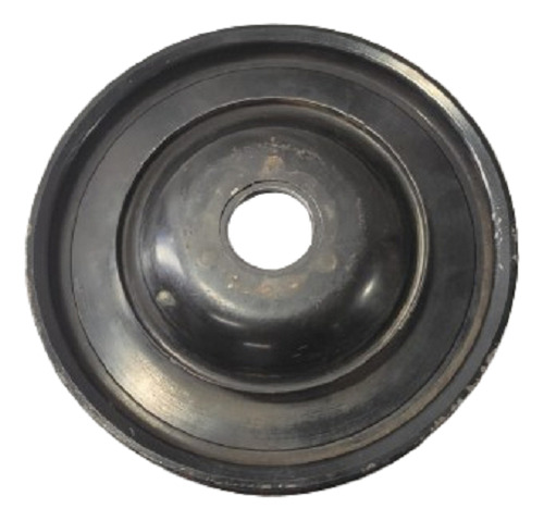 Polia Virabrequim 5pk Renault Sandero Logan 21317