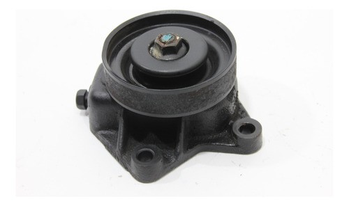 Polia Tensor Esticador Alternador Tucson 10/16 (741)