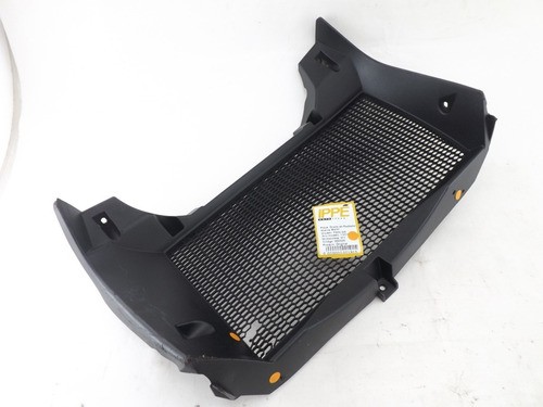 Grade Do Radiador C/ Detalhes Bmw F 800 Gs 2013 (311)