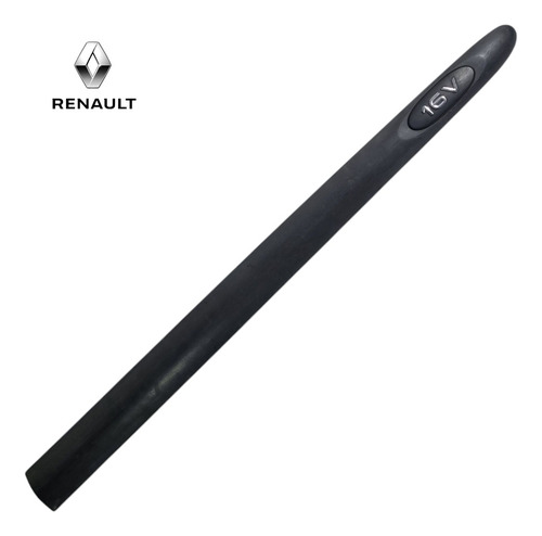 Friso Da Porta Diant. L.d Renault Clio 2001 A 2012