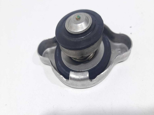 Tampa Agua Radiador Renault Kwid 2020 2021 2022 2023 2024