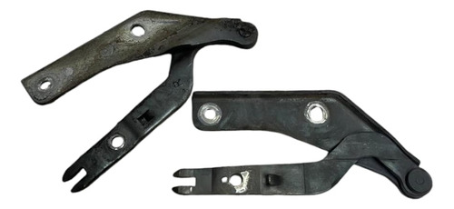 Par Braco Capo Omega Australiano 2002 3.8