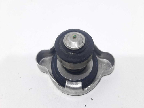 Tampa Agua Radiador Renault Kwid 2020 2021 2022 2023 2024