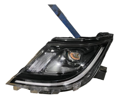Farol Byd Dolphin 2023 2024 