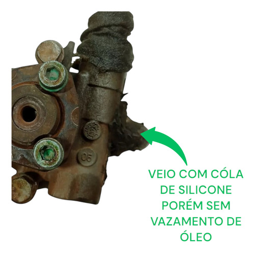 Bomba Direção Hidráulica Volkswagen Bora 2.0 8v 2001 A 2006