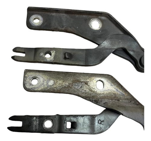 Par Braco Capo Omega Australiano 2002 3.8