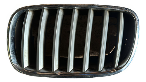 Grade Dianteira Esquerdo Bmw X5 2008